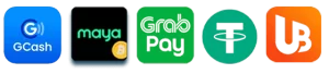 p666 payment